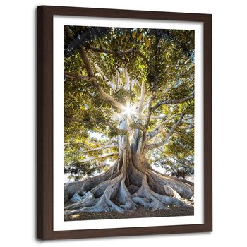 Obraz w ramie brązowej FEEBY, Wielkie egzotyczne drzewo, 60x90 cm - Feeby