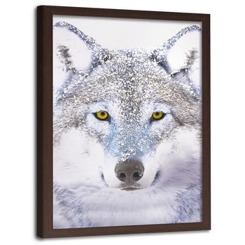 Obraz w ramie brązowej FEEBY, Wilk Szary Zwierzęta 70x100 - Feeby