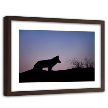 Obraz w ramie brązowej FEEBY, Wilk Zachód Słońca 60x40 - Feeby