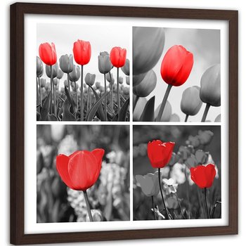 Obraz w ramie brązowej FEEBY, Zestaw czerwonych Tulipanów 80x80 - Feeby