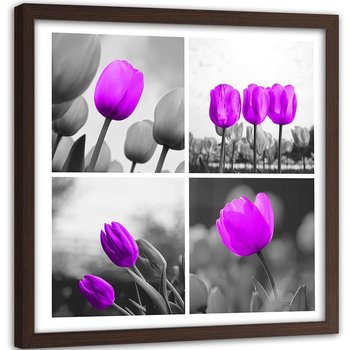 Obraz w ramie brązowej FEEBY, Zestaw Tulipany Fioletowy 60x60 - Feeby