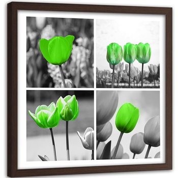Obraz w ramie brązowej FEEBY, Zestaw Zielone Tulipany 50x50 - Feeby