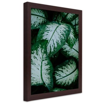 Obraz w ramie brązowej FEEBY, Zielone Liście Natura Roślina 30x45 - Feeby