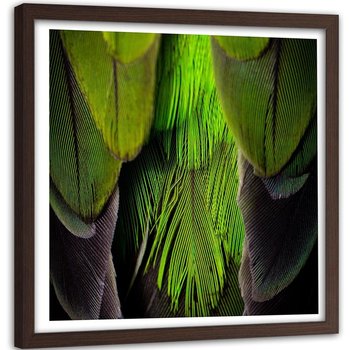 Obraz w ramie brązowej FEEBY, Zielone Pióra Ptaka 80x80 - Feeby
