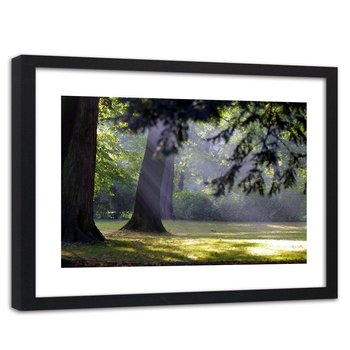 Obraz w ramie czarnej: Droga polna przy lesie, 60x90 cm - Feeby