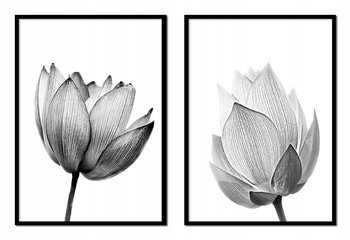 Obraz w ramie czarnej E-DRUK, Dyptyk Kwiaty, 53x73 cm, P1711 - e-druk