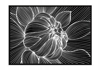 Obraz w ramie czarnej E-DRUK, Kwiat, 33x43 cm, P1059 - e-druk