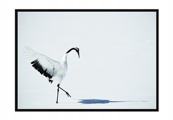 Obraz w ramie czarnej E-DRUK, Ptak, 33x43 cm, P1446 - e-druk
