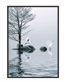Obraz w ramie czarnej E-DRUK, Ptaki, 53x73 cm, P1182 - e-druk