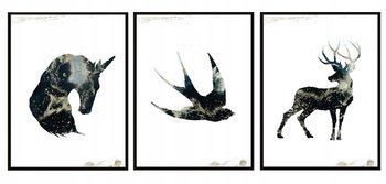 Obraz w ramie czarnej E-DRUK, Tryptyk, 33x43 cm, P1392 - e-druk