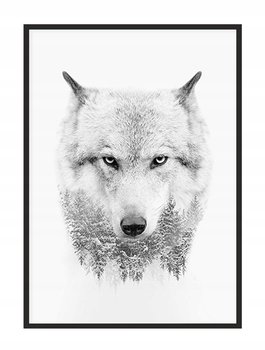 Obraz w ramie czarnej E-DRUK, Wilk, 33x43 cm, P1461 - e-druk