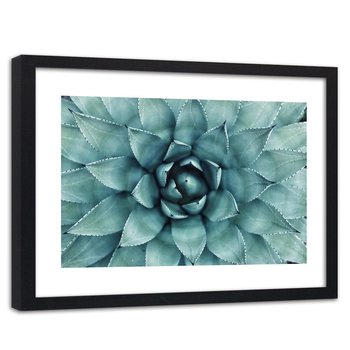 Obraz w ramie czarnej FEEBY, Aloes Roślina Kwiat 60x40 - Feeby