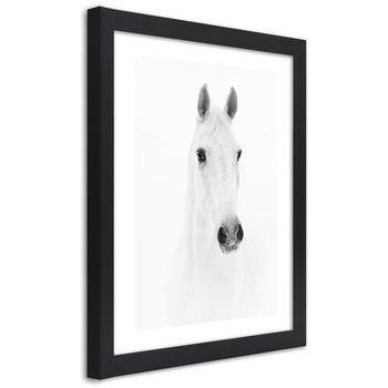 Obraz w ramie czarnej FEEBY, Biały Koń Zwierzęta Natura 70x100 - Feeby