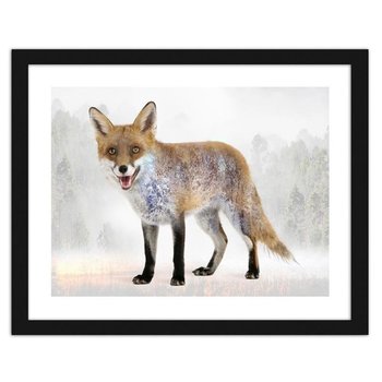 Obraz w ramie czarnej FEEBY Brązowy lis, 50x40 cm - Feeby