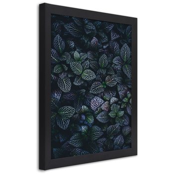Obraz w ramie czarnej FEEBY, Fioletowe Liście natura 30x45 - Feeby