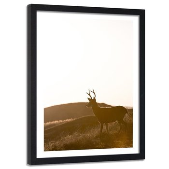 Obraz w ramie czarnej FEEBY, Jeleń Zwierzęta Łąka 80x120 - Feeby