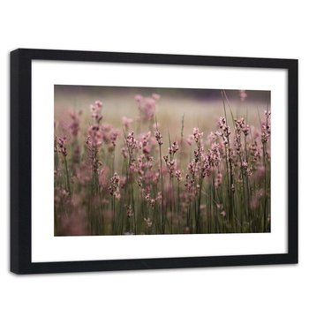 Obraz w ramie czarnej FEEBY, Kwiaty Polne Różowy Natura 90x60 - Feeby