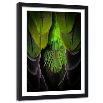 Obraz w ramie czarnej FEEBY, Pióra Ptaki Natura Zielony 80x120 - Feeby