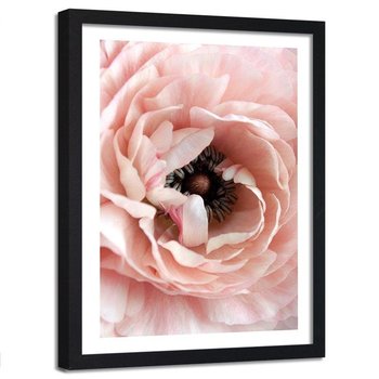 Obraz w ramie czarnej FEEBY, Piwonia Kwiat Pastelowy 60x90 - Feeby