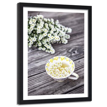 Obraz w ramie czarnej FEEBY, Rumianek Roślina Herbata 40x60 - Feeby