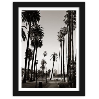 Obraz w ramie czarnej FEEBY, Widok na park z palmami, 40x50 cm - Feeby