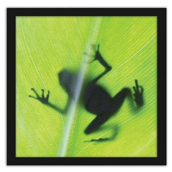 Obraz w ramie czarnej FEEBY, Żaba na zielonym liściu, 60x60 cm - Feeby