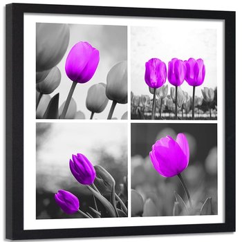 Obraz w ramie czarnej FEEBY, Zestaw Tulipany Fioletowy 80x80 - Feeby