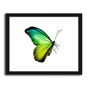 Obraz w ramie czarnej FEEBY, Zielono-niebieski motyl, 60x40 cm - Feeby