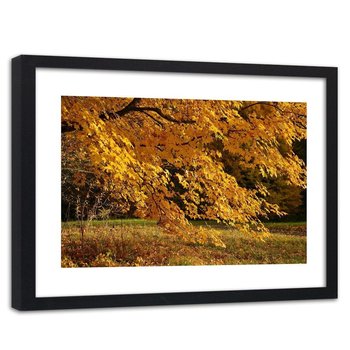 Obraz w ramie czarnej: Fioletowy las, 80x120 cm - Feeby