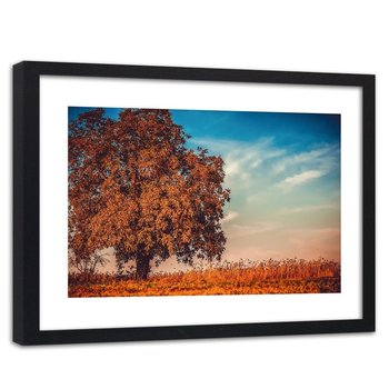 Obraz w ramie czarnej: Kolorowy las, 60x90 cm - Feeby