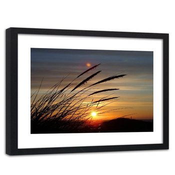 Obraz w ramie czarnej: Trawy i zachód słońca, 80x120 cm - Feeby