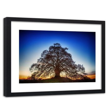 Obraz w ramie czarnej: Wielkie drzewo o zmroku, 60x90 cm - Feeby