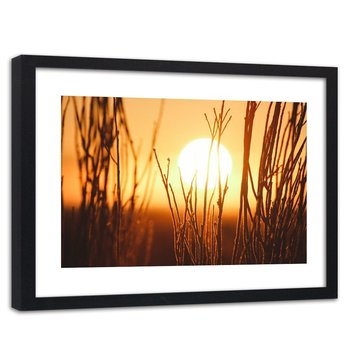 Obraz w ramie czarnej: Zachód słońca i krzewy, 60x90 cm - Feeby