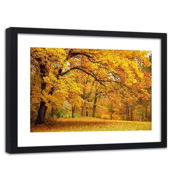 Obraz w ramie czarnej: Żółte jesienne drzewa, 80x120 cm - Feeby