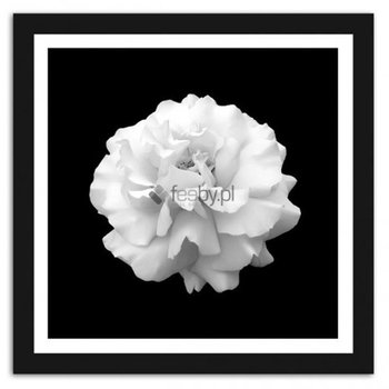 Obraz w ramie FEEBY, Kwiat, 40x60 cm - Feeby