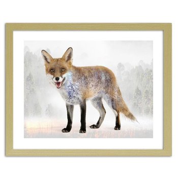 Obraz w ramie naturalnej FEEBY Brązowy lis, 60x40 cm - Feeby
