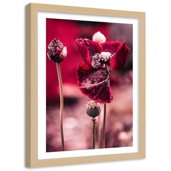 Obraz w ramie naturalnej FEEBY, Maki Czerwone Kwiaty 40x60 - Feeby