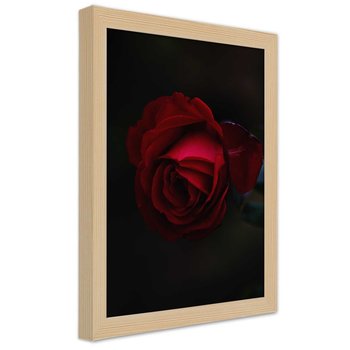 Obraz w ramie naturalnej FEEBY, Róża Czerwony Kwiat Natura 20x30 - Feeby