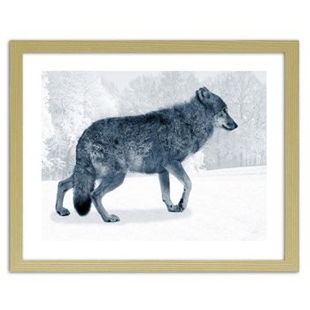 Obraz w ramie naturalnej FEEBY, Szary wilk, 29,7x21 cm - Feeby