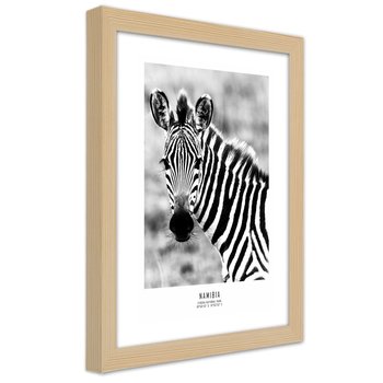 Obraz w ramie naturalnej FEEBY, Zebra Zwierzęta Natura 70x100 - Feeby