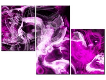 Obraz Wariacje z fioletem, 3 elementy, 90x60 cm - Oobrazy