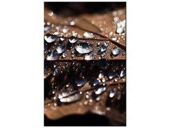 Obraz Wczesna jesień - Jenny Downing, 60x90 cm - Oobrazy