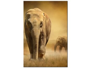 Obraz Wędrujące słonie, 20x30 cm - Oobrazy