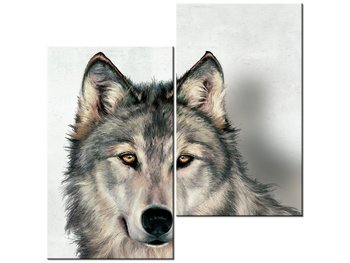 Obraz Wilk szary, 2 elementy, 60x60 cm - Oobrazy