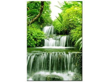 Obraz, Wodospad w lesie deszczowym, 70x100 cm - Oobrazy