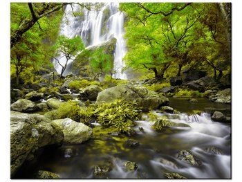 Obraz Wodospad w zieleni, 50x40 cm - Oobrazy