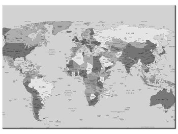 Obraz World map, 70x50 cm - Oobrazy