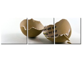 Obraz Wyjście z jajka - Gemma Stiles, 3 elementy, 150x50 cm - Oobrazy