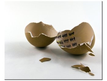 Obraz Wyjście z jajka - Gemma Stiles, 50x40 cm - Oobrazy