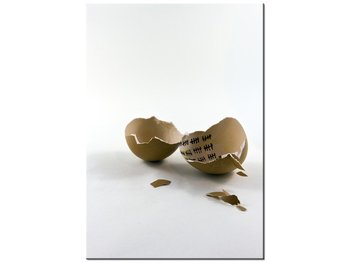 Obraz Wyjście z jajka - Gemma Stiles, 70x100 cm - Oobrazy